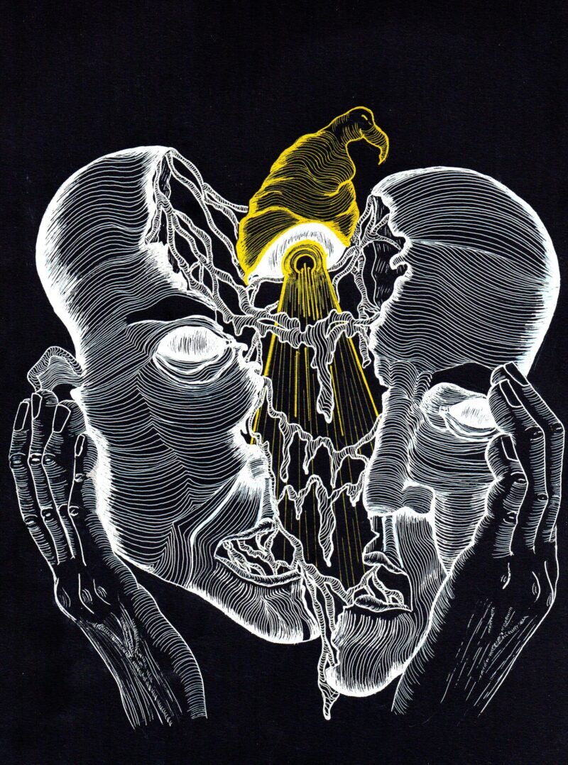 Open Your Head